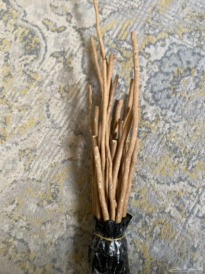 حزمة مساويك 1
