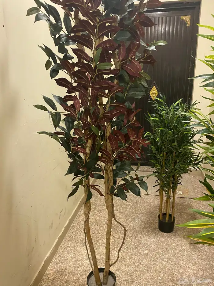 تحف وفازات ورزع 2