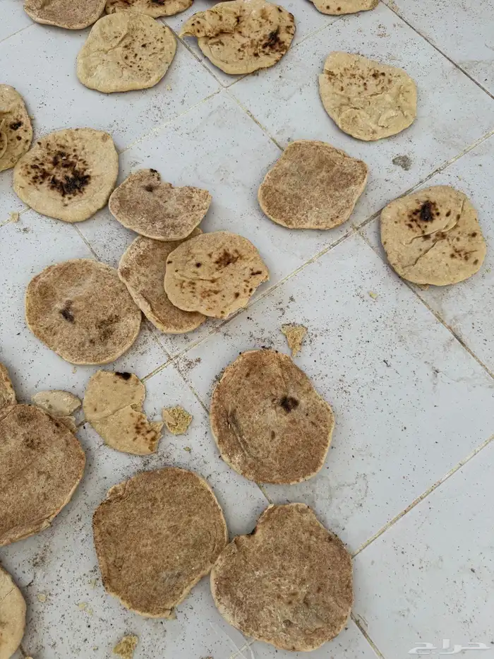 خبز ناشف للبيع شكل واحد كله مفرود 4