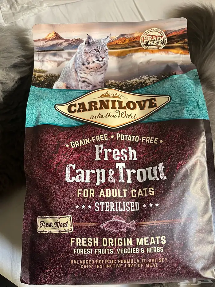 أكل قطط المعقمه 0