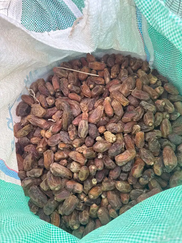 حشف للبيع 80 كيس شعير 0