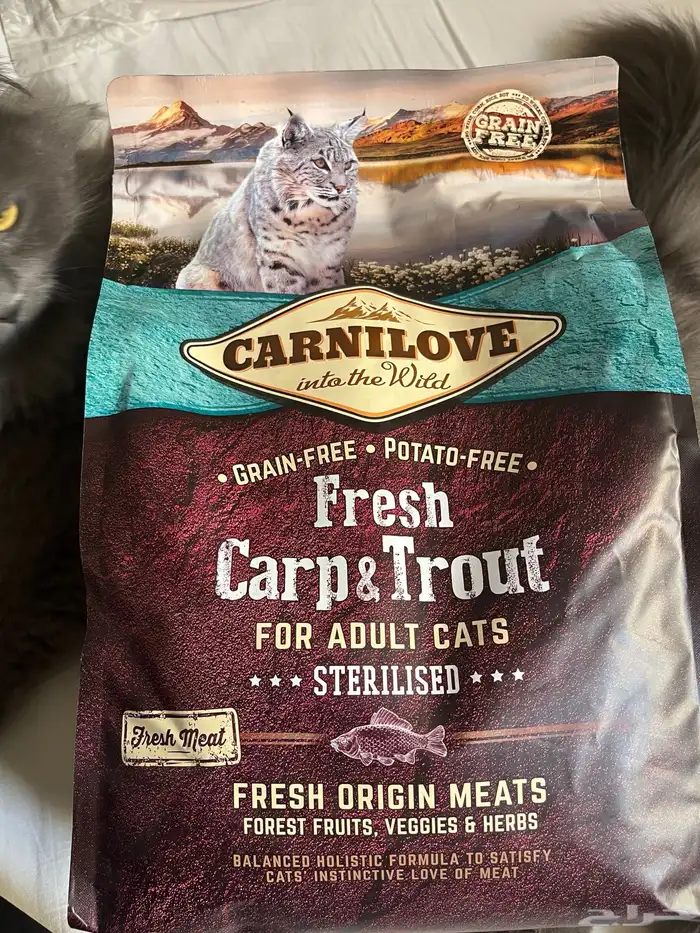 أكل قطط المعقمه 1