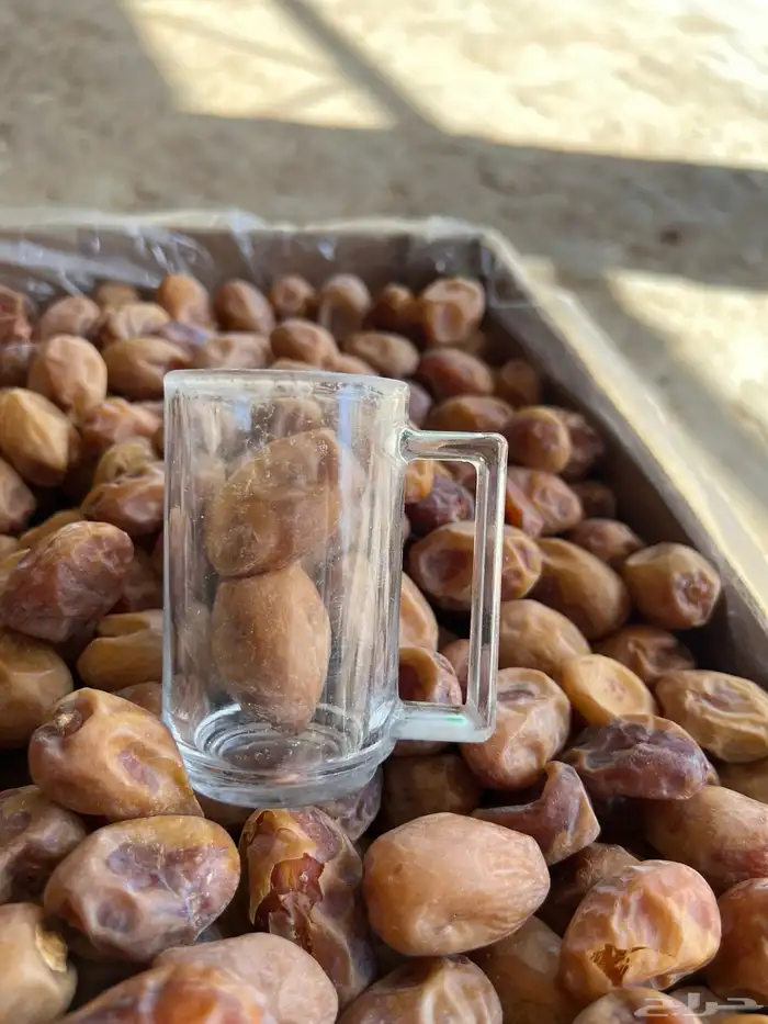 تمر خلاص اشقر فله 11 طن انتاج 2025 6