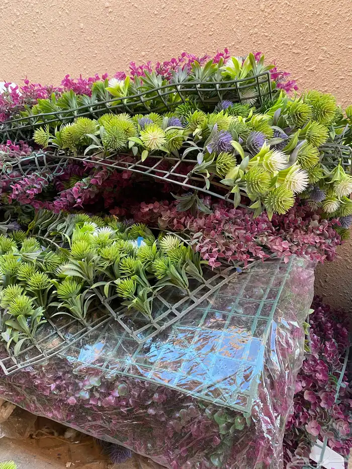 غساله للبيع توشيبا   عشب جداري 5