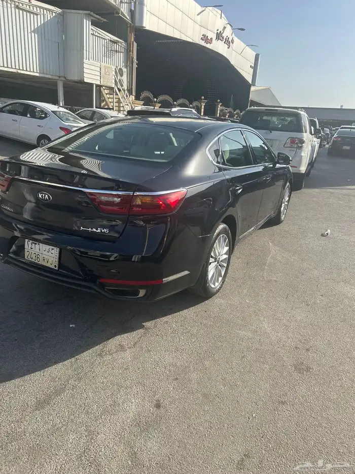 كادينزا 2017 1