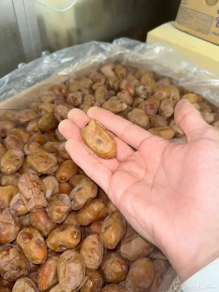 تمر خلاص فله أشيقر 6