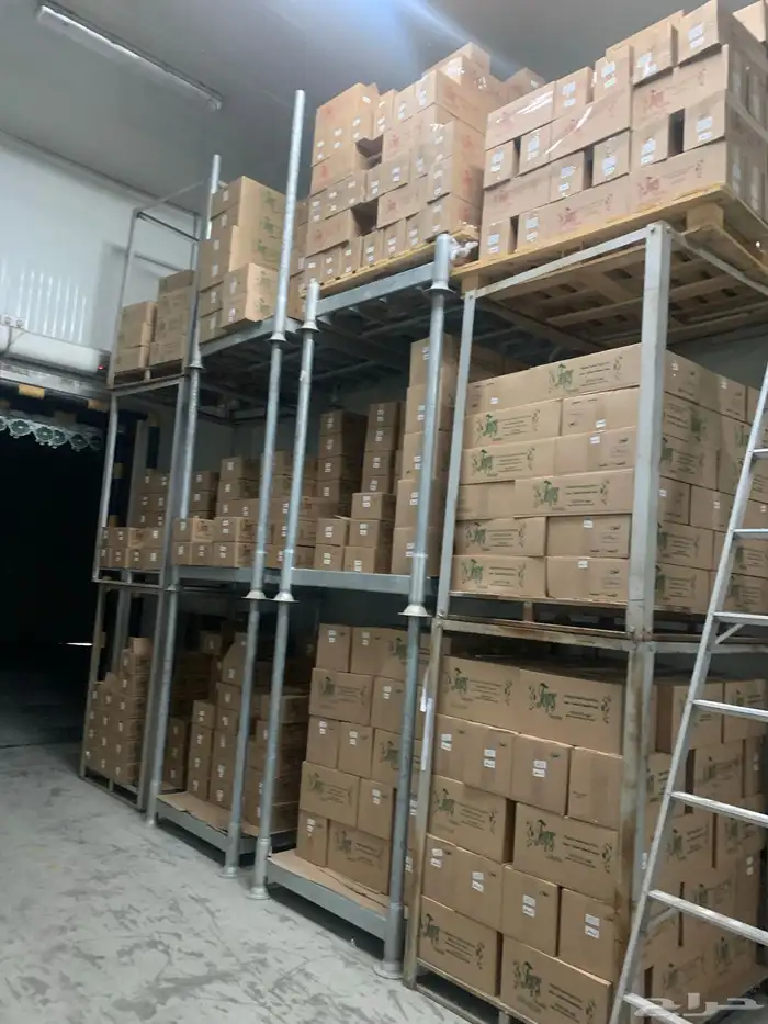 ثلاجة للايجار تجميد وتبريد 3