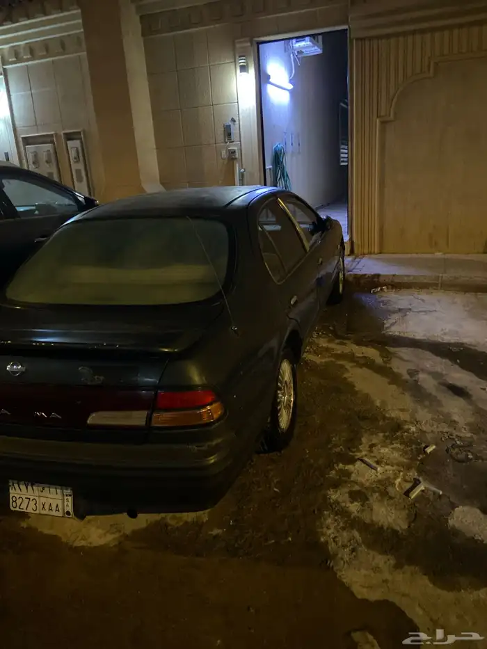 مكسيما 1998 0