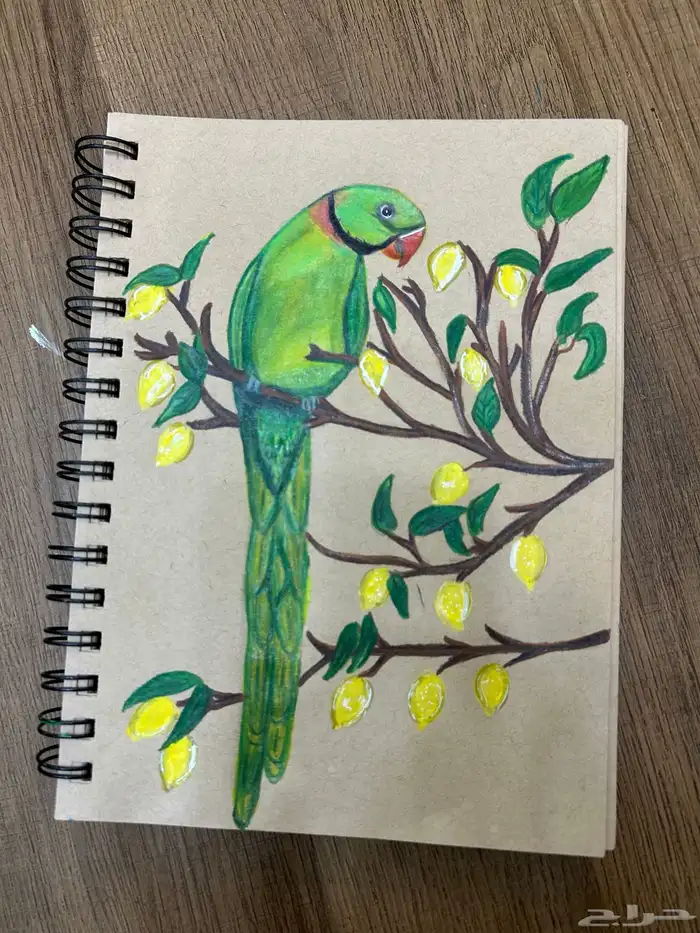 دوره تعليم الرسم للنساء والأطفال 5