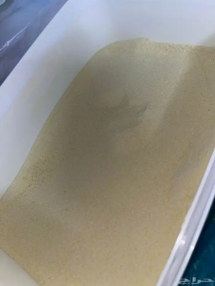 سيرلاك طيور تعبئة علب 1