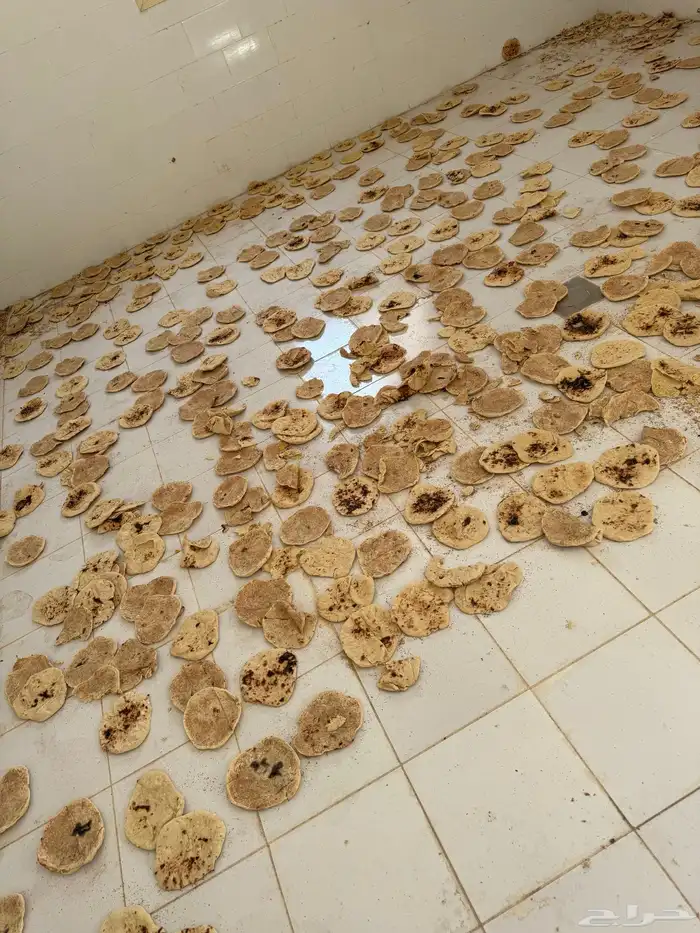 خبز ناشف للبيع شكل واحد كله مفرود 1