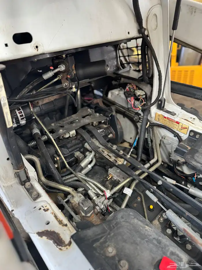 بوبكات مديلات 2014 و2016 2