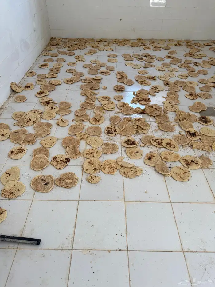 خبز ناشف للبيع شكل واحد كله مفرود 0