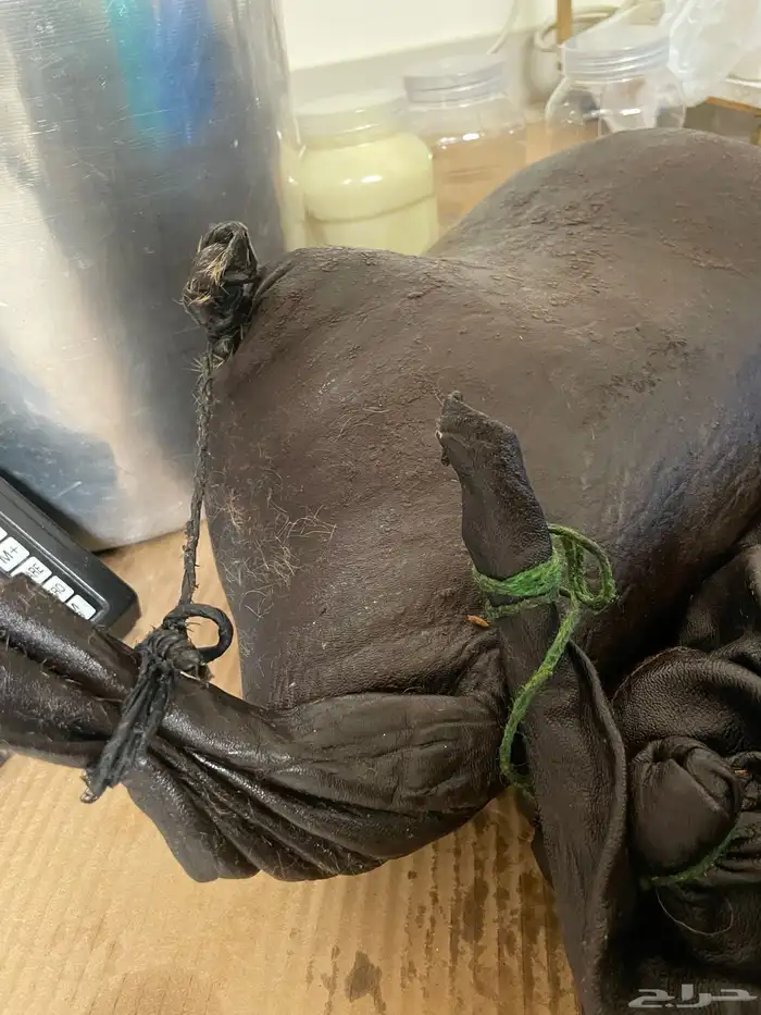 سمن غنم وضأن فاخر 2