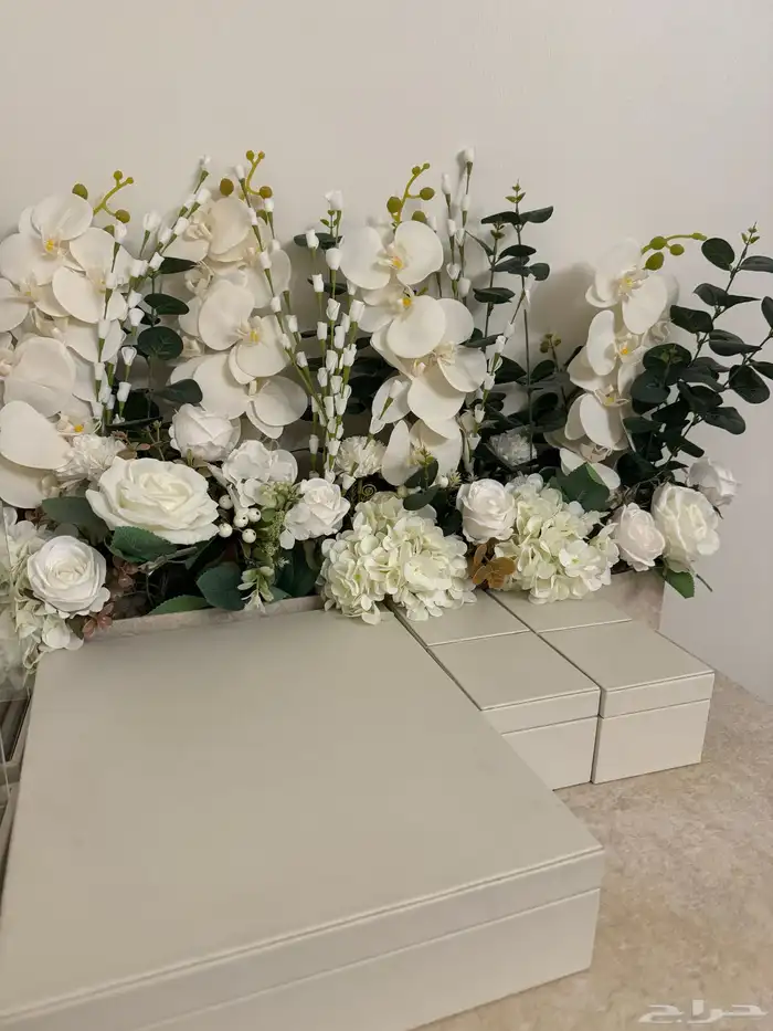 ملكة عربية 1