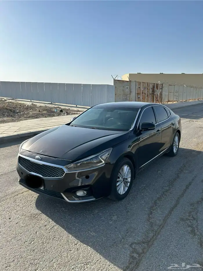 كادينزا 2017 1