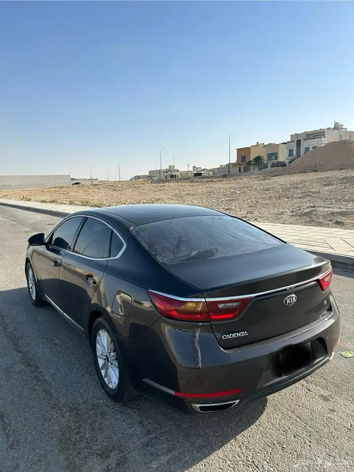 كادينزا 2017 5
