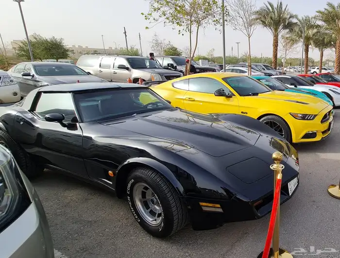 للبيع كورفيت C3 Stingray موديل 1981   معدل بمحرك LS 12