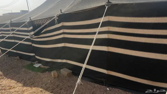 بيت شعر اخو الجديد 6 11 1