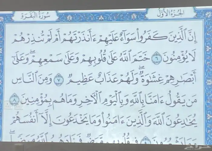 بروجكتر 6