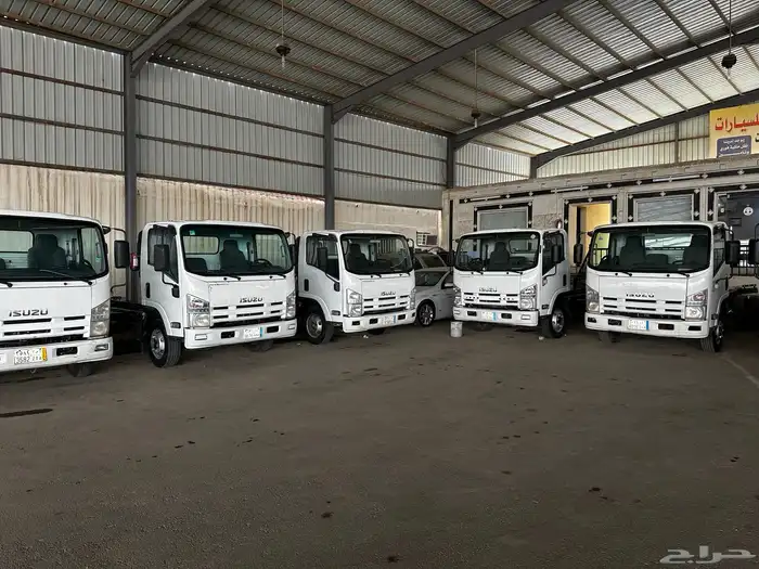 مجموعة دينات ايسوزوا 0