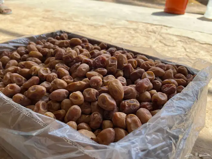 تمر خلاص اشقر فله 11 طن انتاج 2025 2