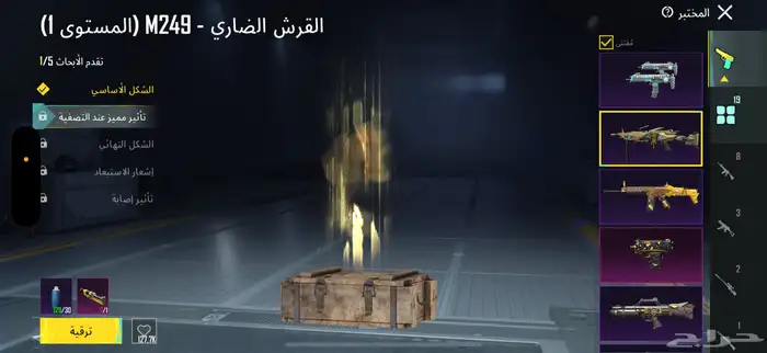ببجي 5