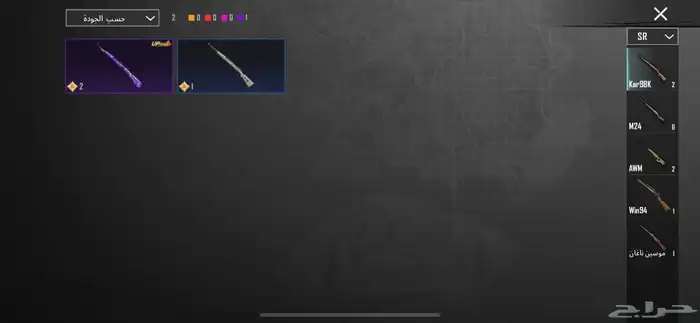 حساب ببجي للبيع 33