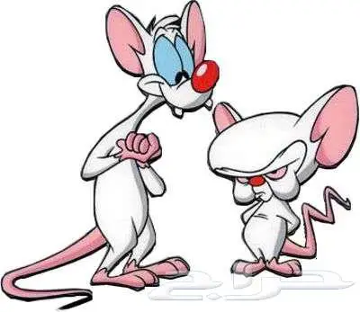 فار بنكي و برين خارق (Pinky and the Brain) يعيشان في مختبرات 2