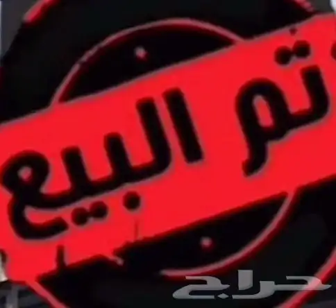 للبيع دجاج كوشن 0