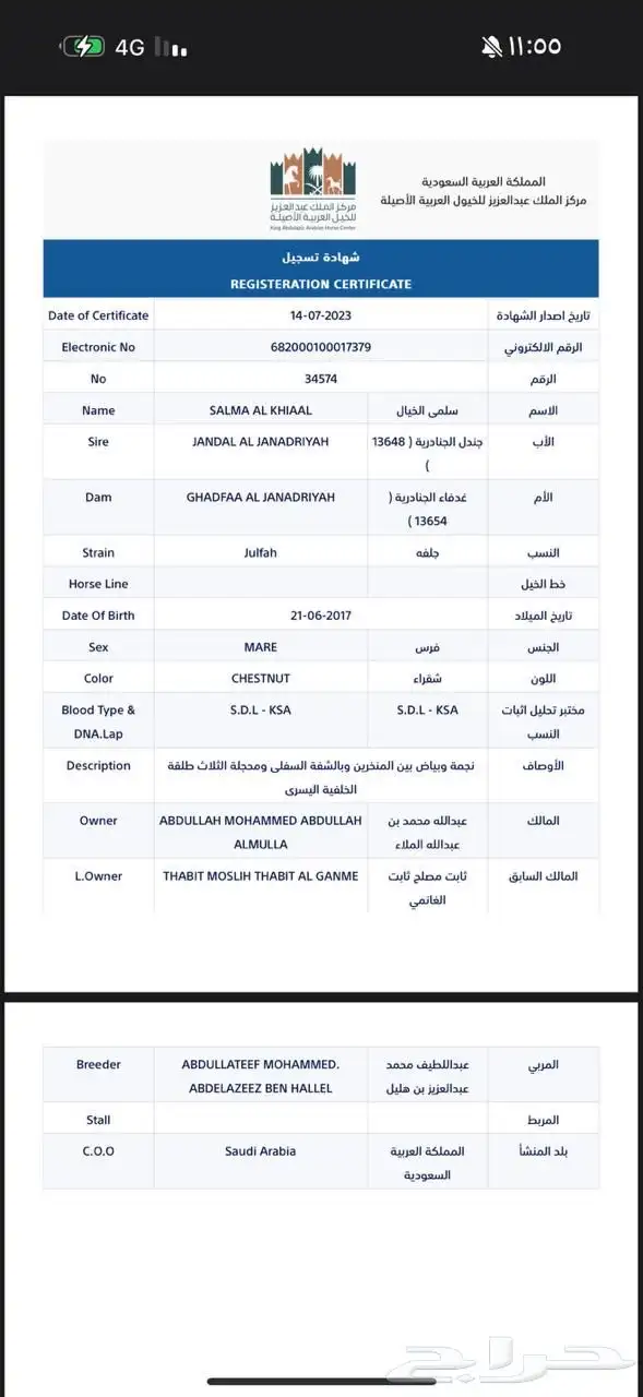 مهر واهو 7
