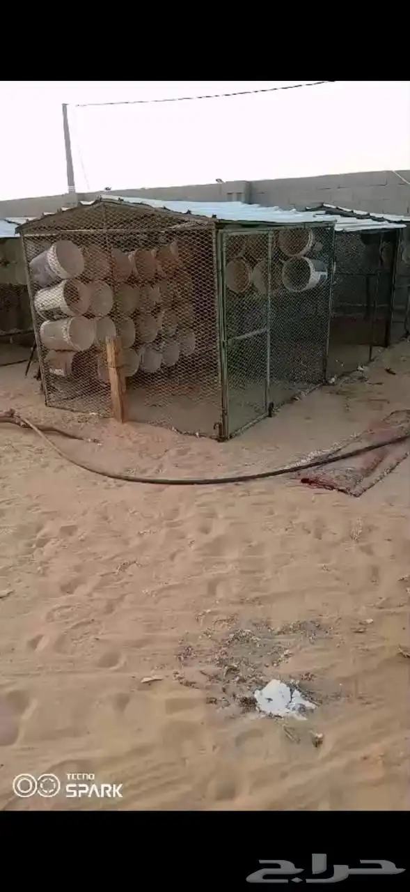 شبوك حمام مع السطول 0