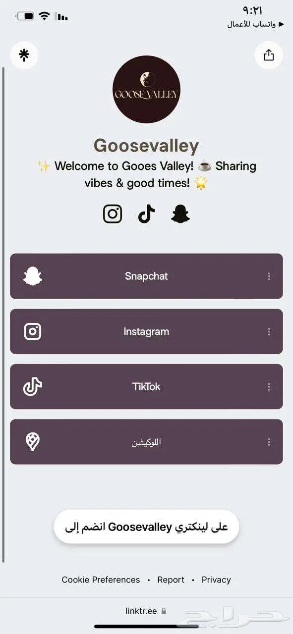 مصمم صفحة هبوط لينك تري LINK TREE 4