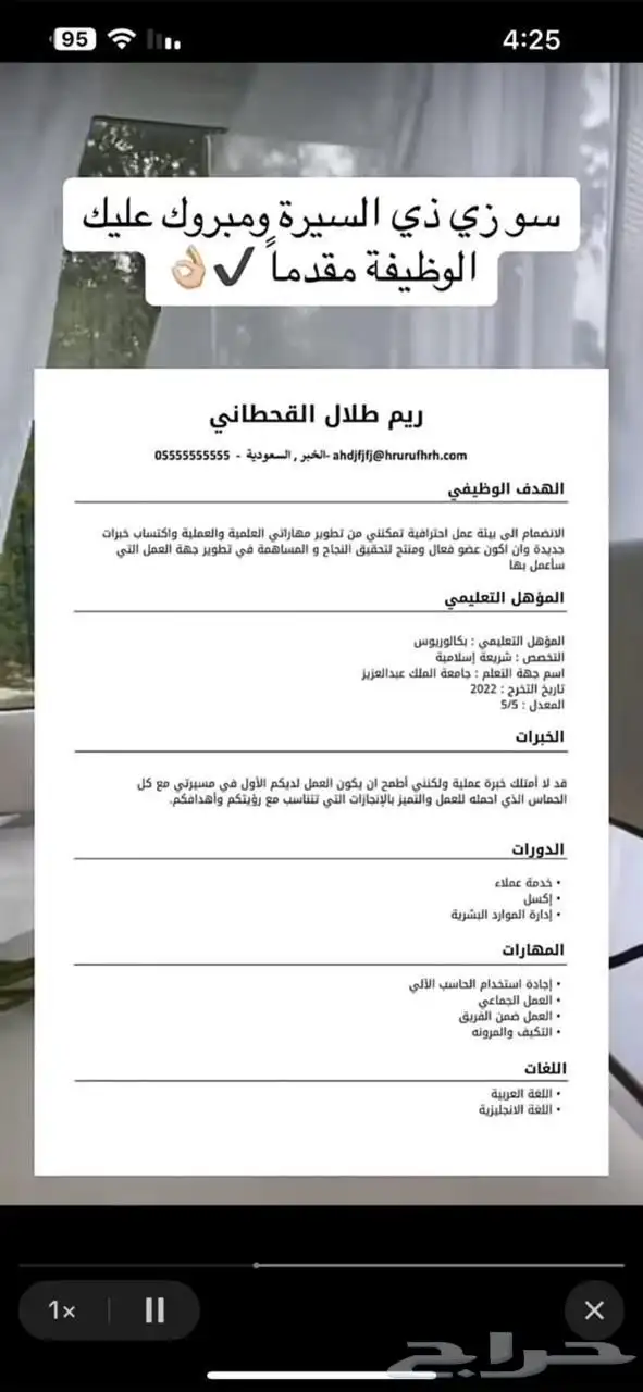 سيرة ذاتية احترافية 2