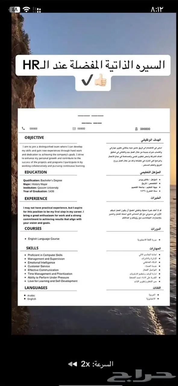 سيرة ذاتية احترافية 1