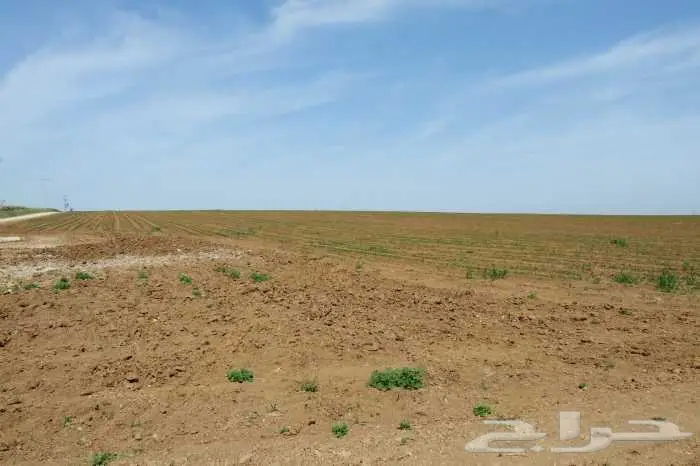 مطلوب ا ر ض زراعية غرب مطار الدمام 0