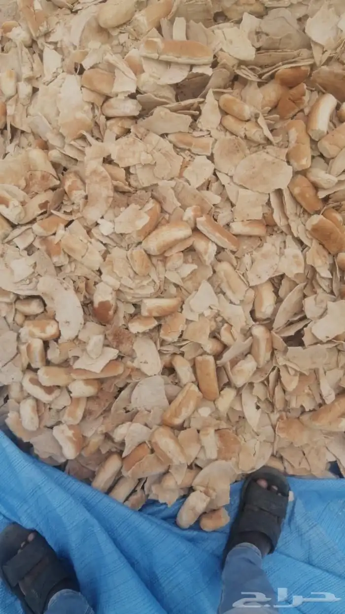 خبز مجفف لتوزيع بجملة 2