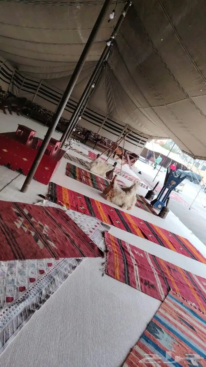 تاجير خيام شعبية بيوت شعر جلسات 5