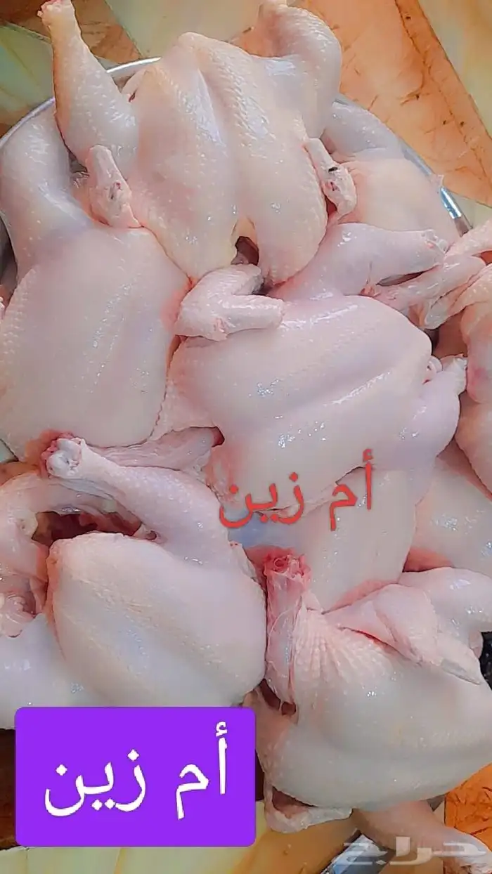 دجاج 3