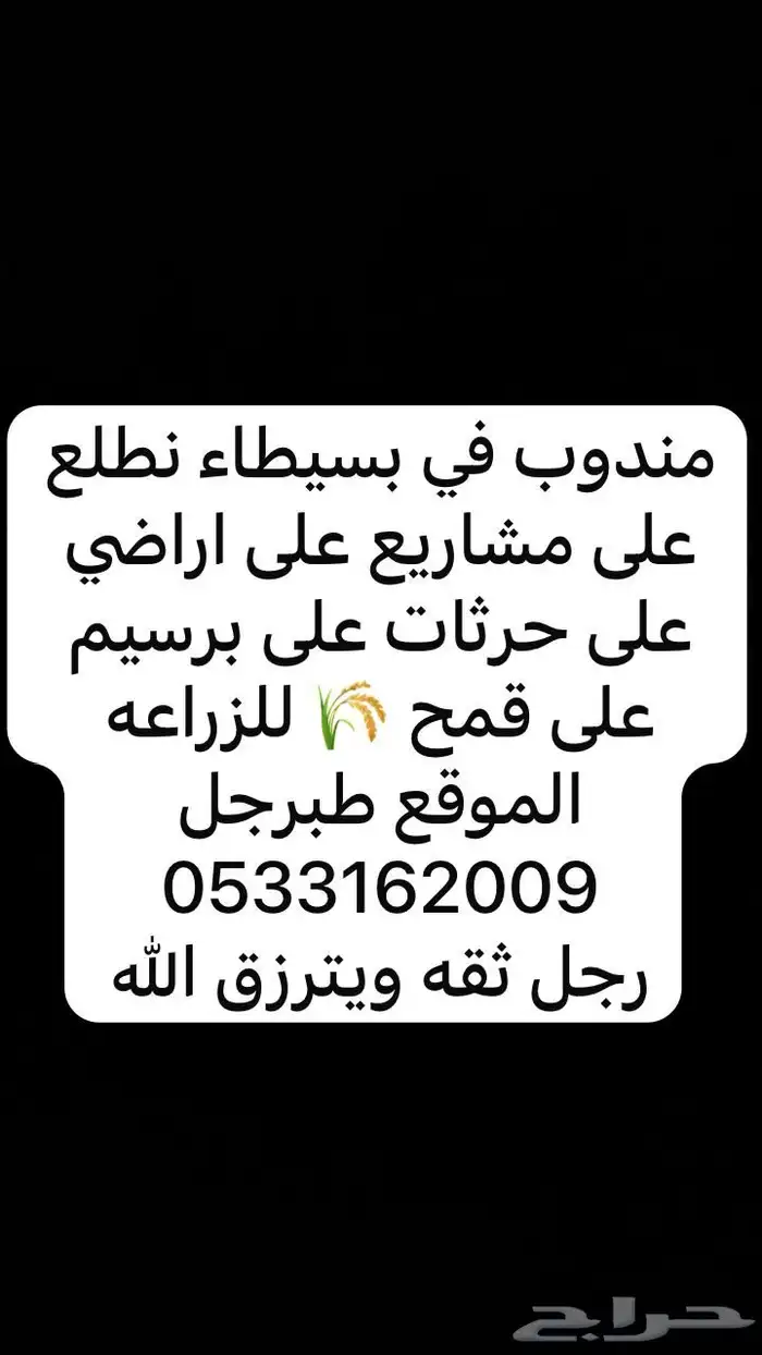 مندوب بسيطا  لزراعه للي يبي مشاريع برسيم قمح 0