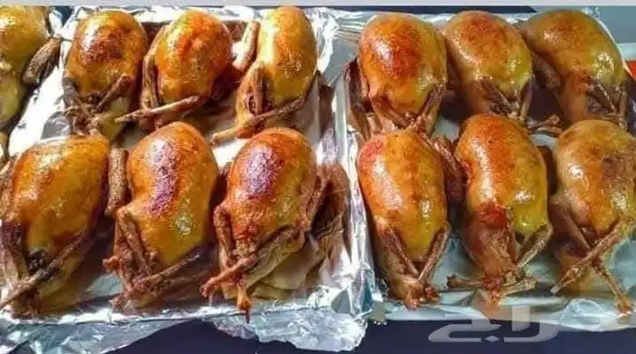 مكه الشوقيه 20