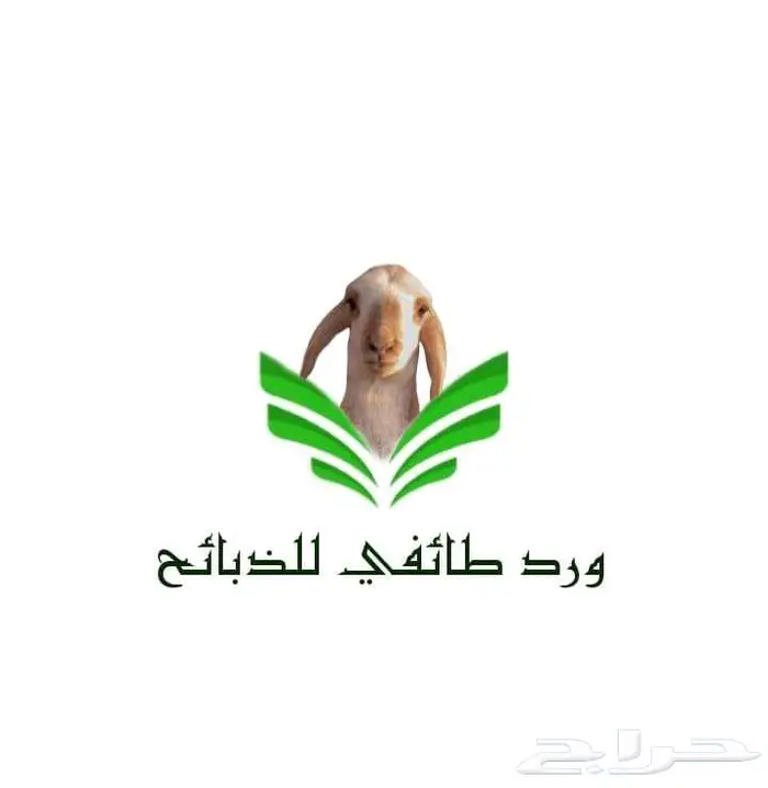 تصميم متجر اكتروني في سلة 2