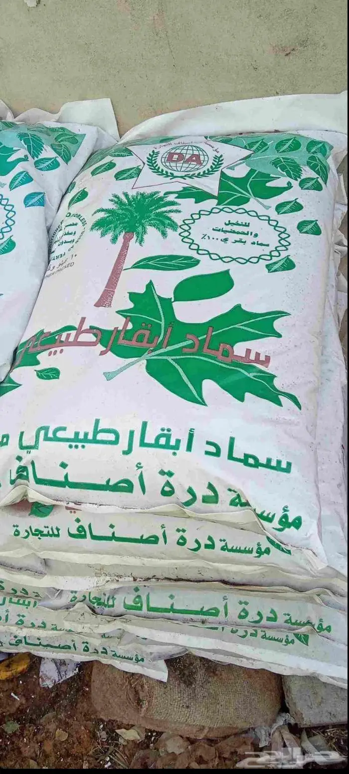 مشتل الشريف 6