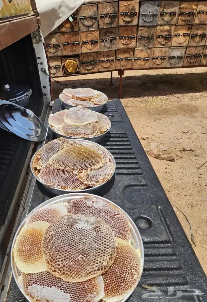 عسل شمع 0