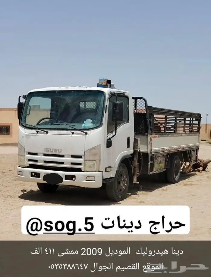 دينا 1