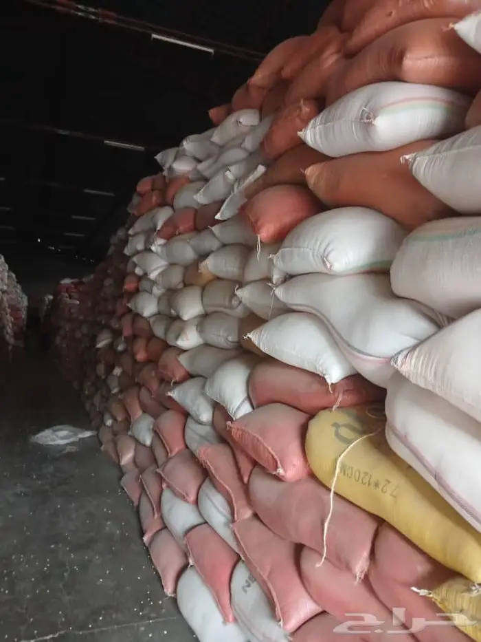 ذره شامي - اثيوبي 1