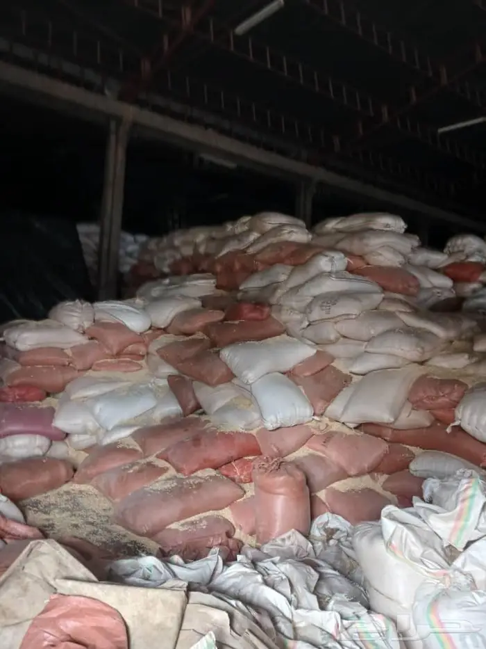 ذره شامي - اثيوبي 3