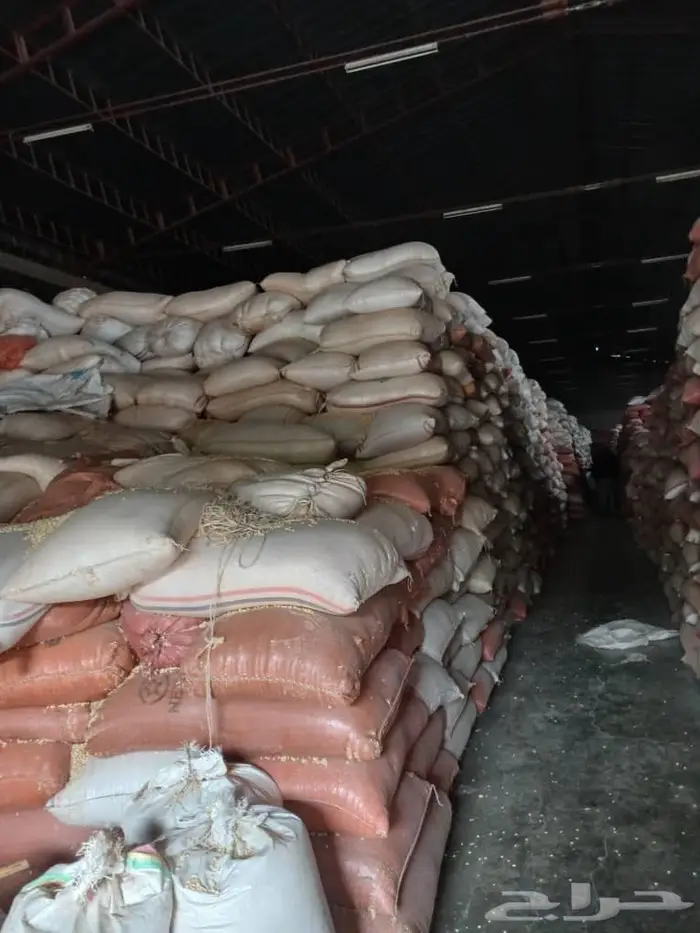 ذره شامي - اثيوبي 5