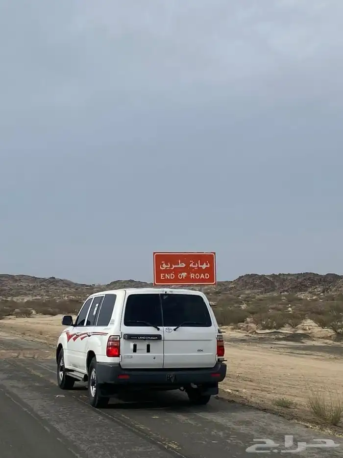 صالون المديل 99 البدي وكاله الممشى 500 استخدام شايب 7