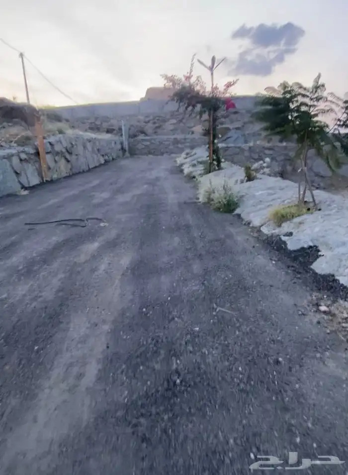 مخيم للايجار او للتقبيل 7